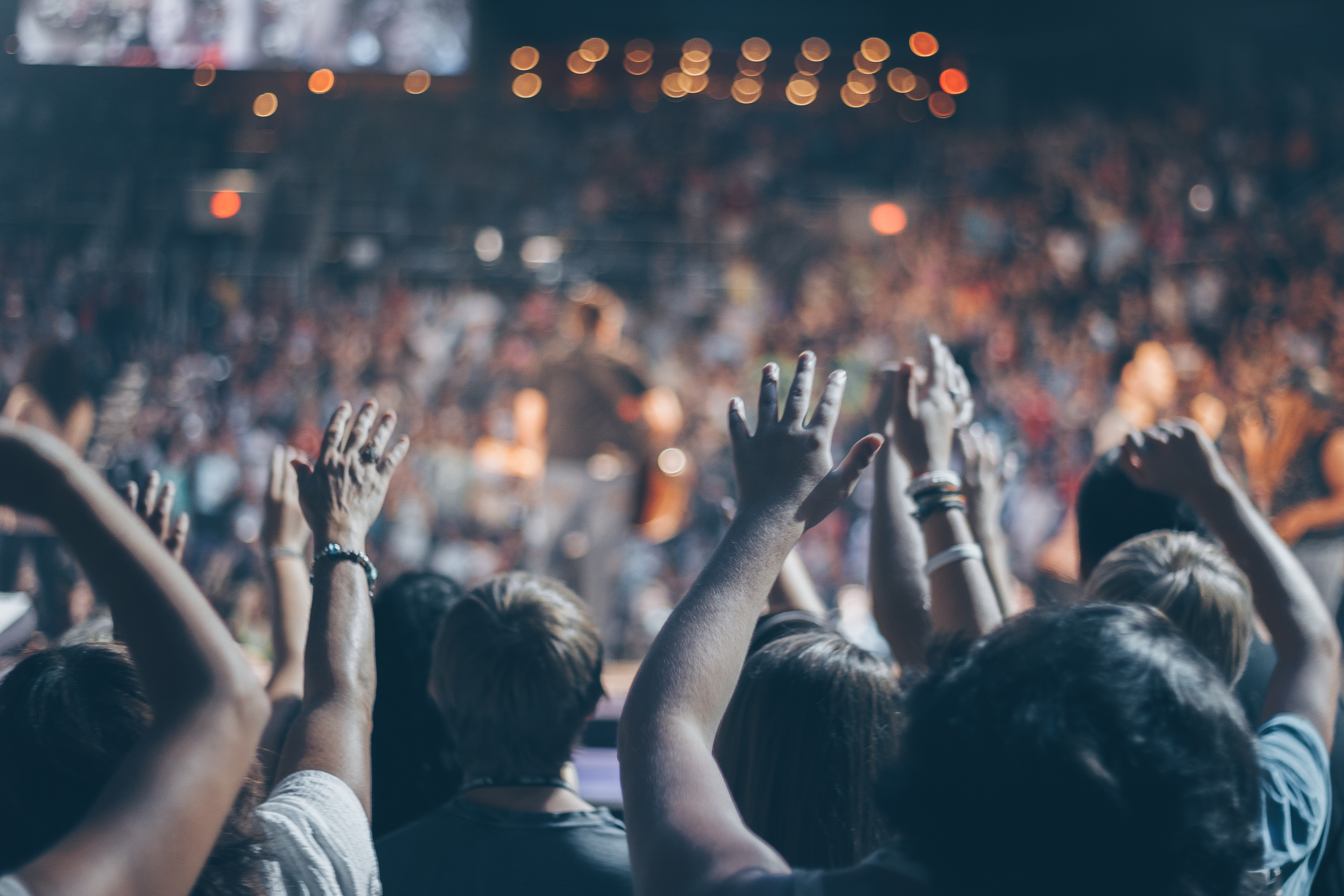 audience-blur-bokeh-976866 audience-blur-bokeh-976866