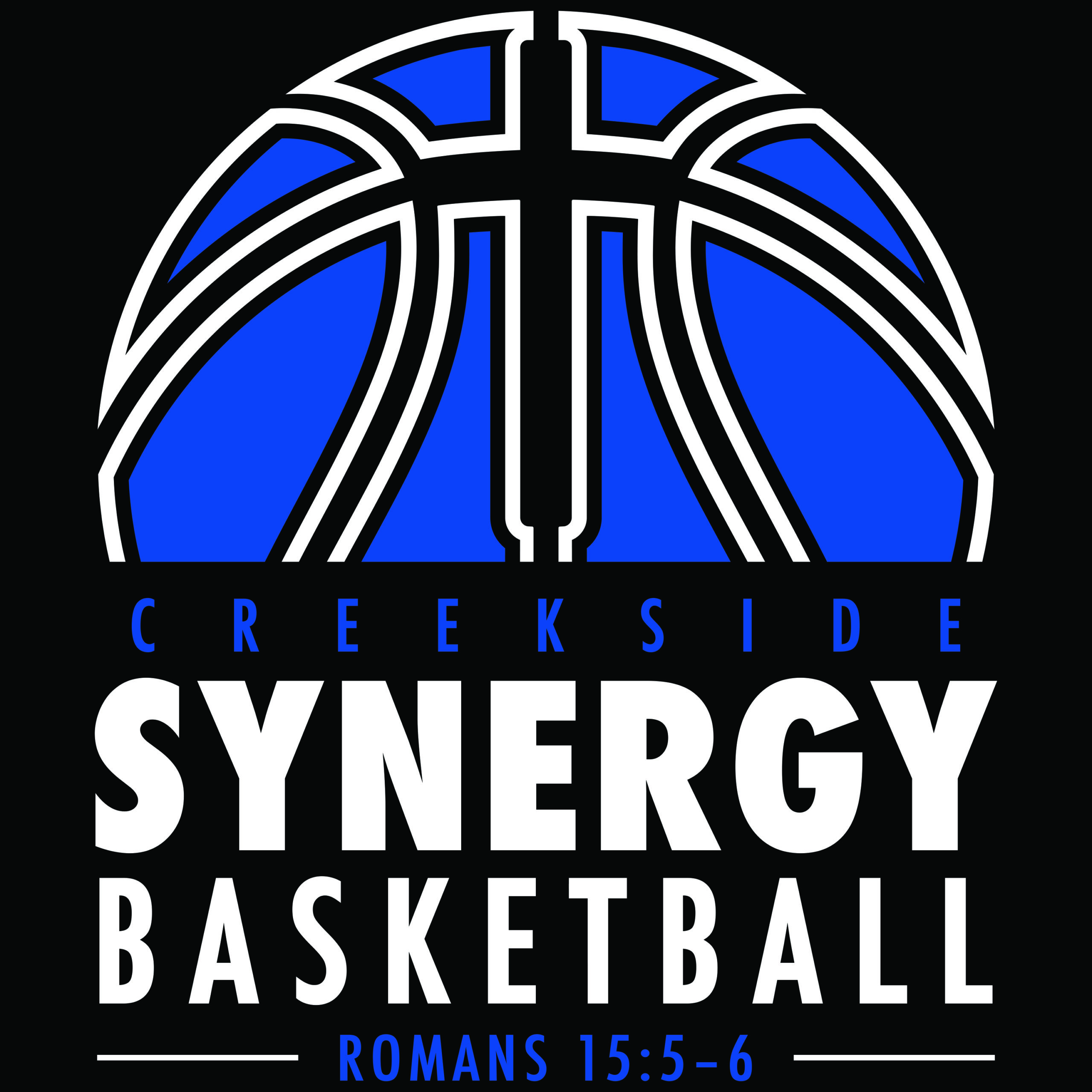 Synergy Logo blue