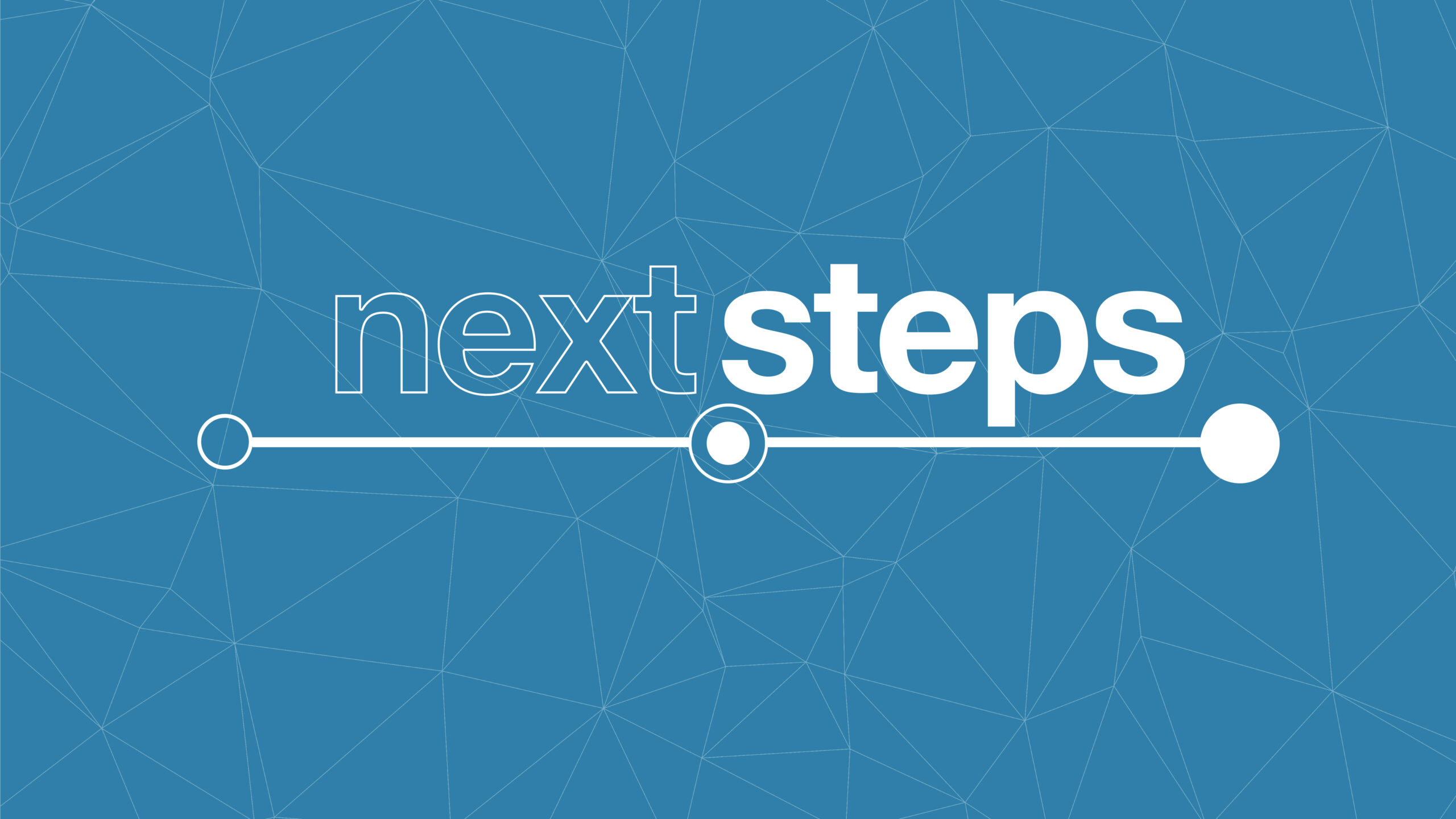 Next Steps