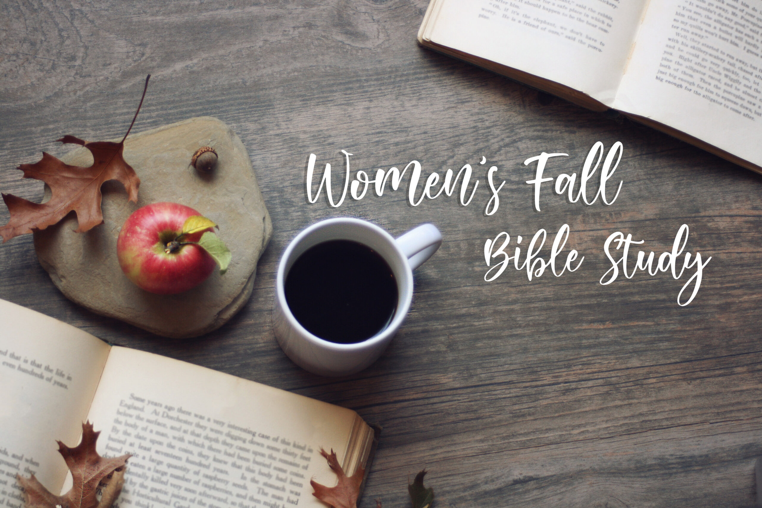 Womens-fall-bible-study-title-scaled