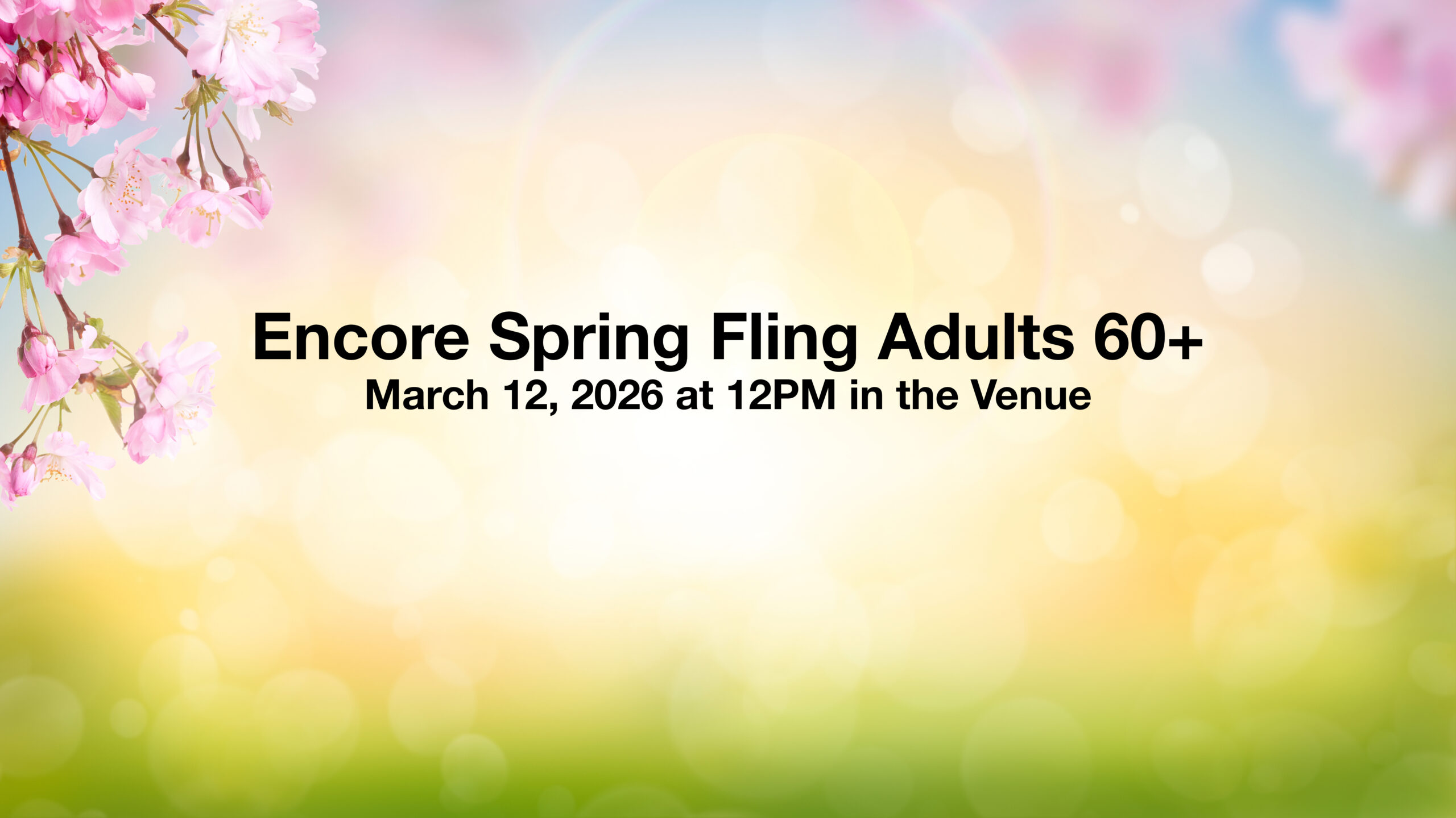 Pink cherry tree blossom flowers blooming in spring Easter sunrise for a Mothers Day background.