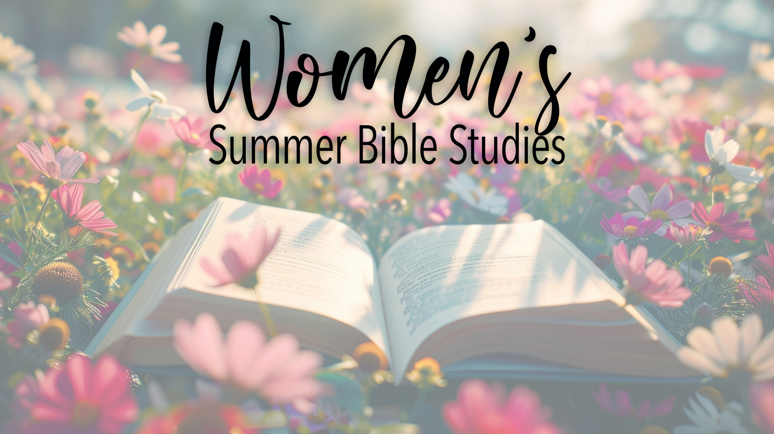 Womens Summer Bible Study.psd