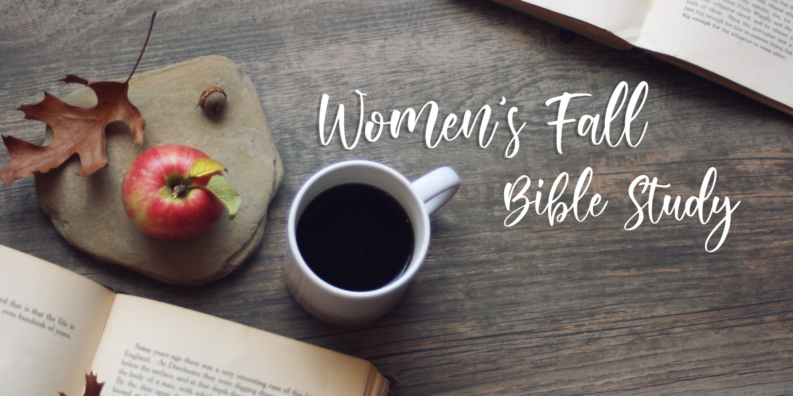 Womens fall bible study title